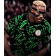 Nigeria Super Eagles Jersey - New